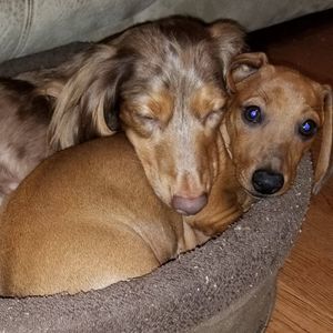 Meet your Posher, Terri